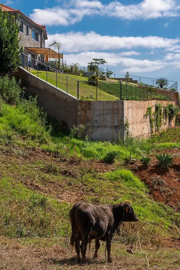 Cantinho Da Natureza - Nature & Tranquility - Heated Pool Optional Jardim do Mar 0*,  Portugal